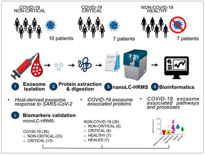 Circulating Exosomes Are Strongly Involved in SARS-CoV-2 Infection